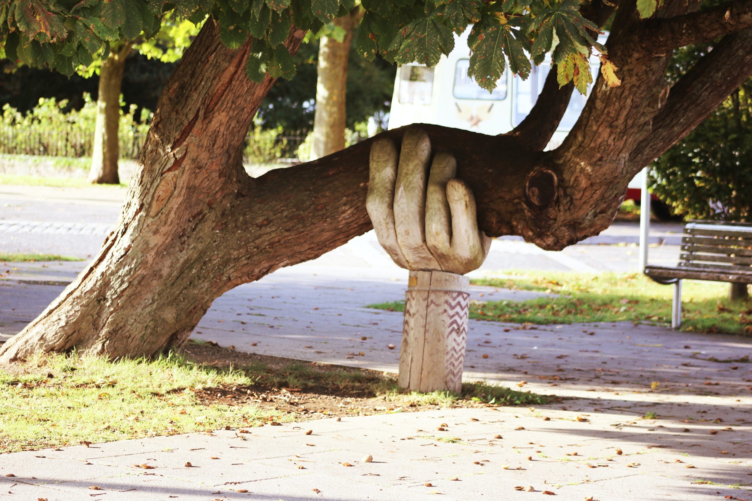 Alter Baum, der von einer Stütze in Handform getragen wird.