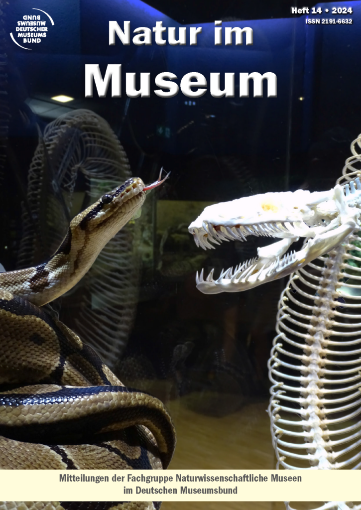 Titelbild Zeitschrift Natur im Museum Heft 14 2024, Blick in einen Ausstellungsraum. Im Vordergrund eine Schlange und das Skelett einer Schlange, die Köpfe einander zugewandt.